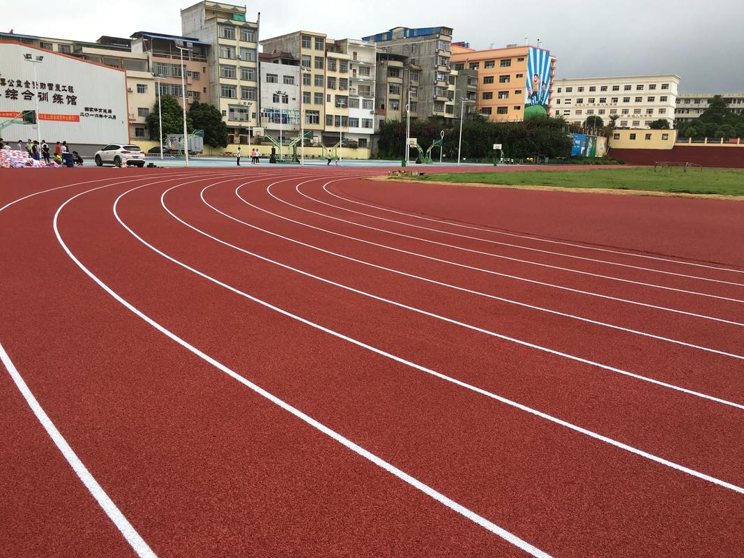 驻马店市EPDM颗粒塑胶跑道材料 - 厂家